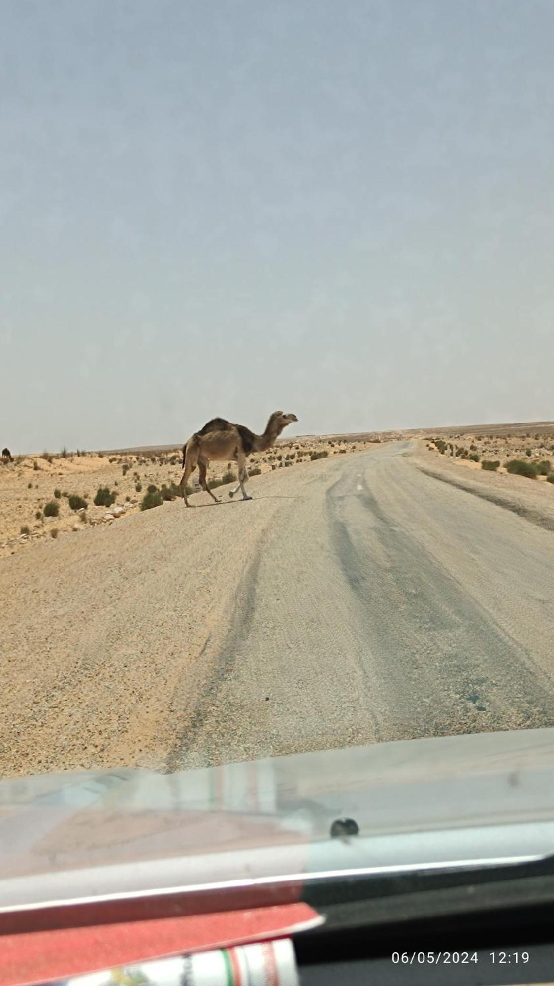 Dar Lagune Djerba Vue De Mer Al Haddadah المظهر الخارجي الصورة