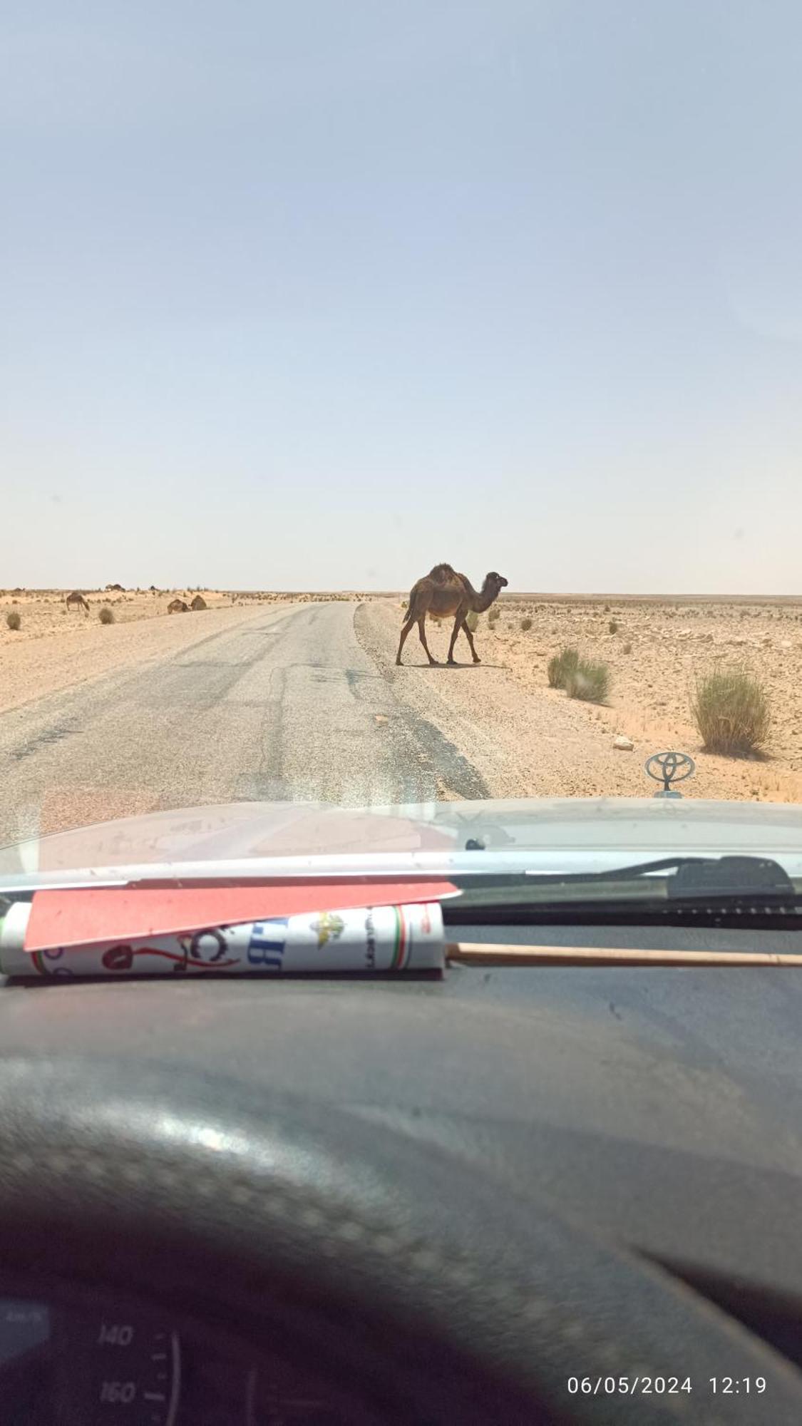 Dar Lagune Djerba Vue De Mer Al Haddadah المظهر الخارجي الصورة