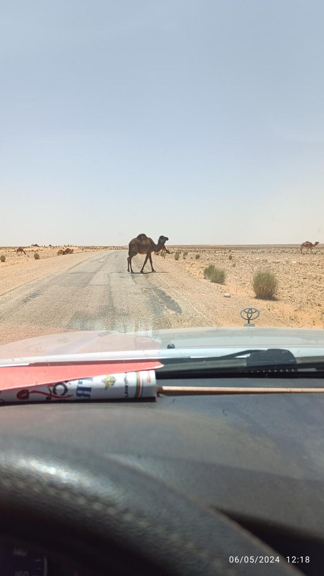 Dar Lagune Djerba Vue De Mer Al Haddadah المظهر الخارجي الصورة
