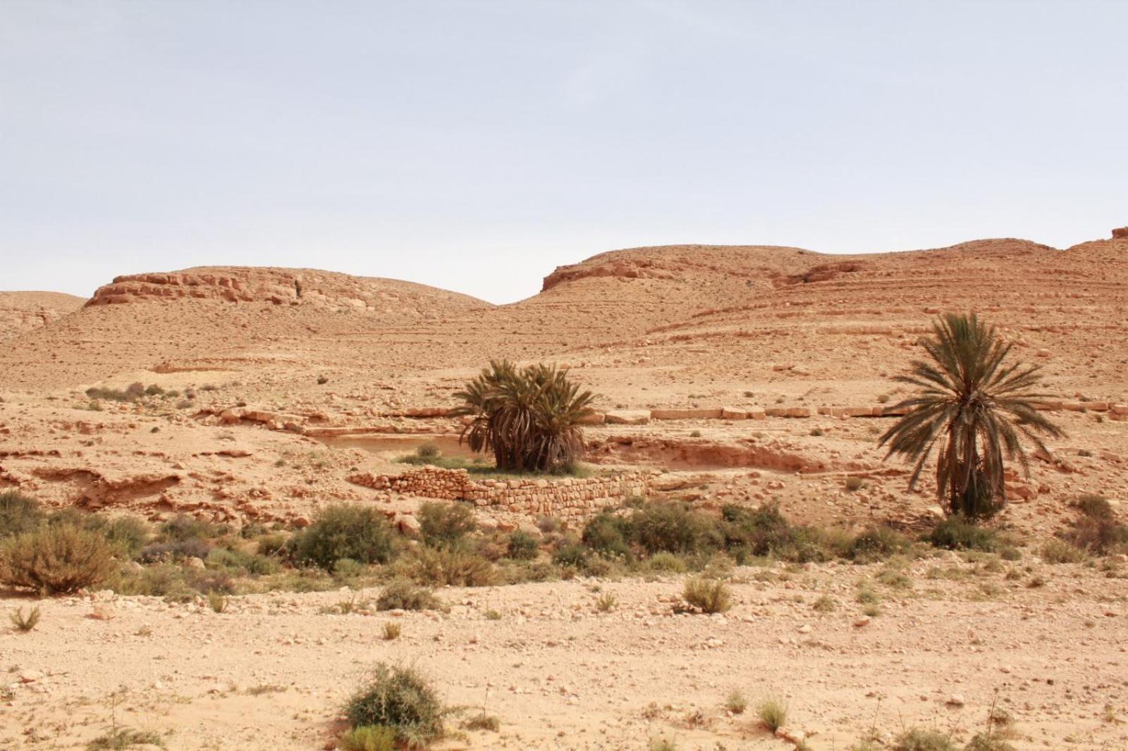 Dar Lagune Djerba Vue De Mer Al Haddadah المظهر الخارجي الصورة
